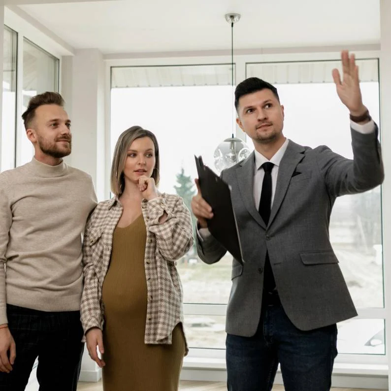 Immobilier & marchands de biens